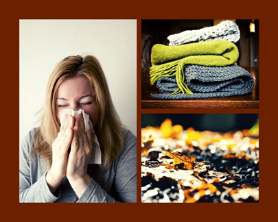 Fall Allergy Image