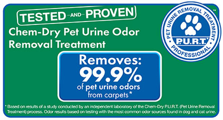 Pet Urine Removal Statistics for J & G Chem-Dry